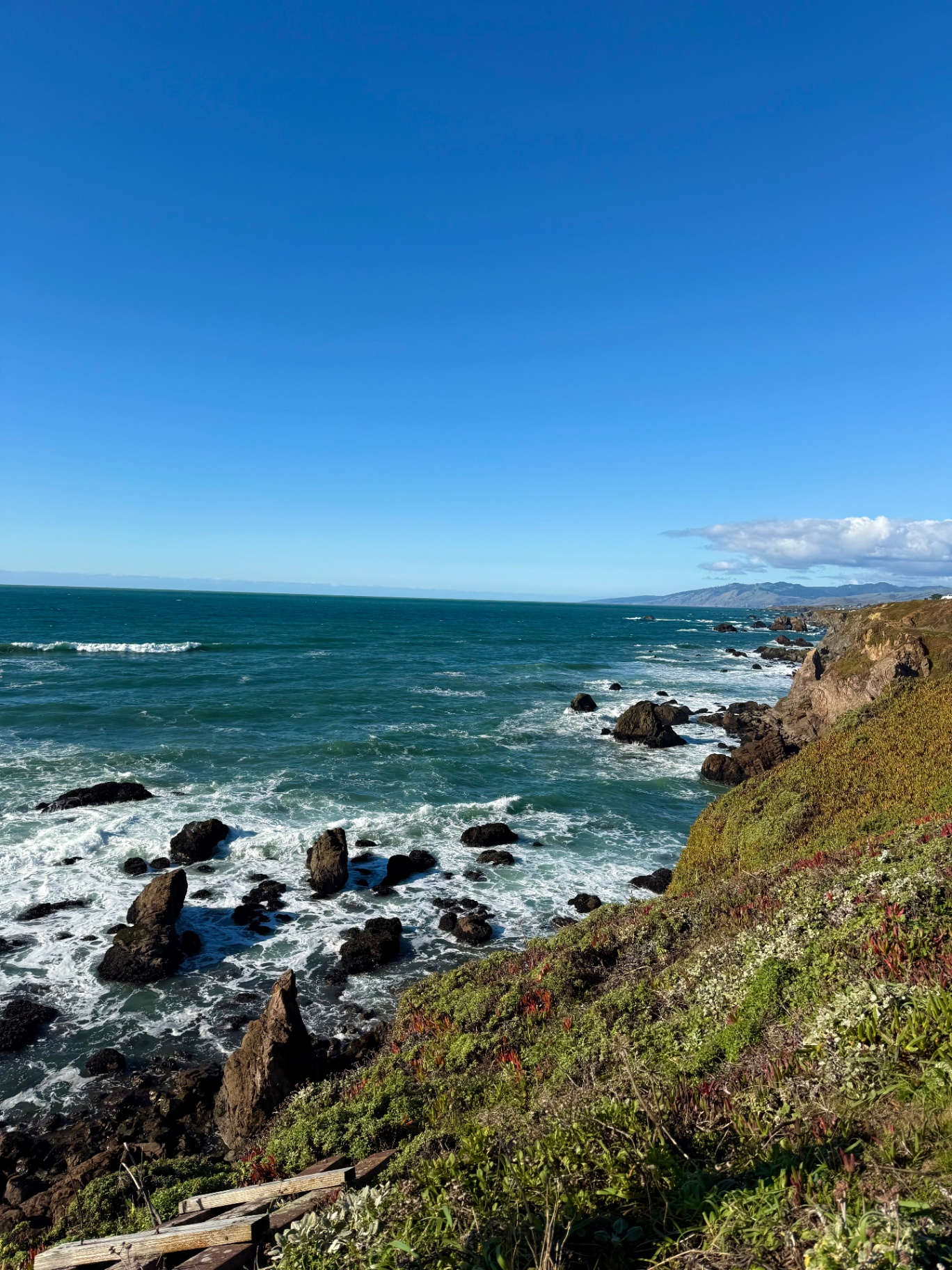 Sonoma coast — waves breaking on rocky bluffs under a bright blue sky